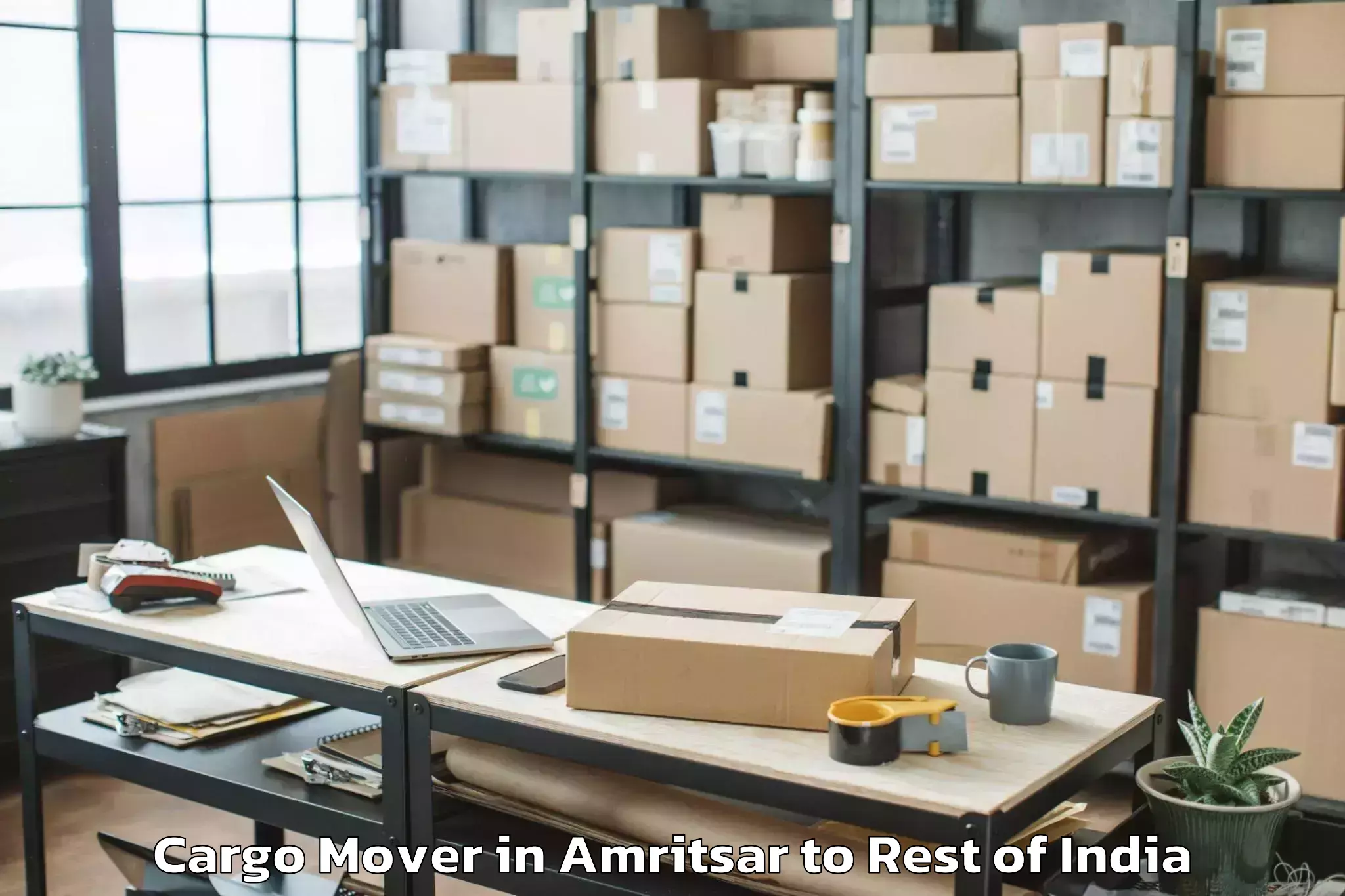 Professional Amritsar to Badgam Cargo Mover